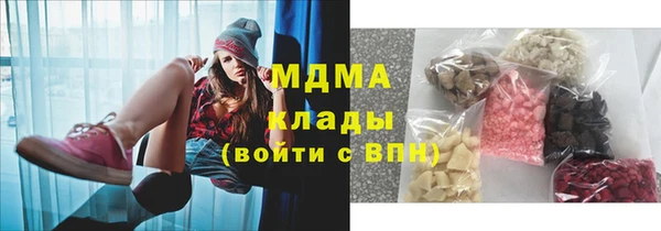 гидра Богородск