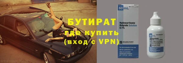 гидра Богородск