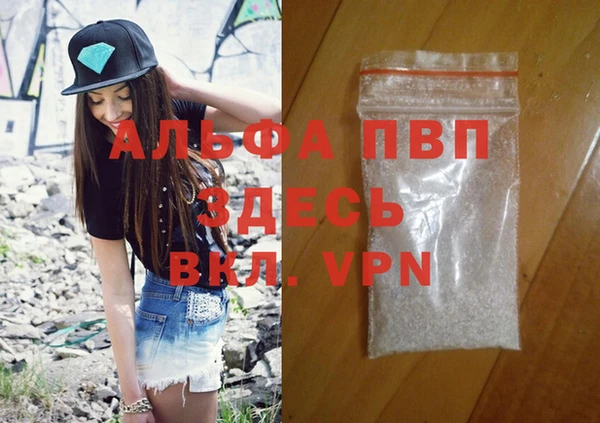 гидра Богородск