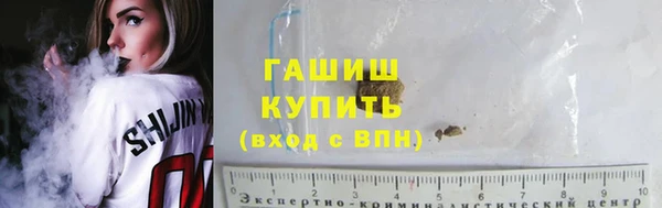гидра Богородск