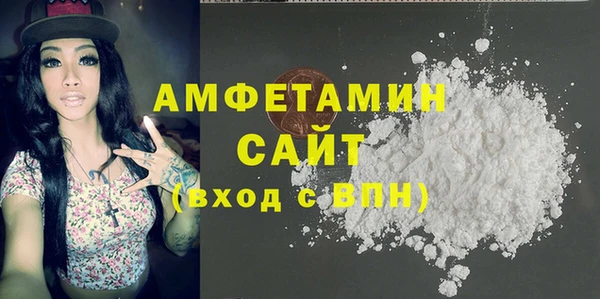 гидра Богородск