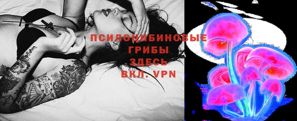 гидра Богородск