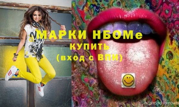 гидра Богородск