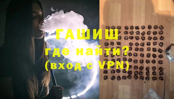 гидра Богородск