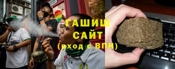 гидра Богородск