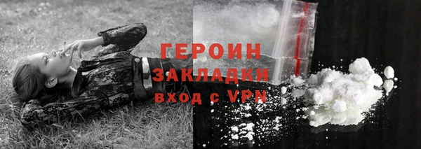 гидра Богородск