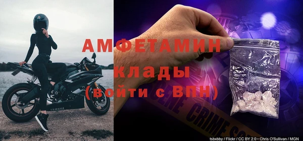 гидра Богородск