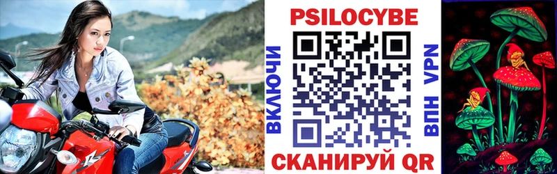 Псилоцибиновые грибы MAGIC MUSHROOMS  Купить закладки  Артёмовский 